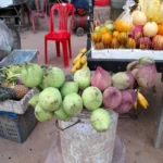 Siem Reap marché fleur lotus