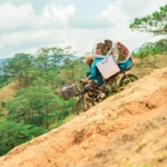 vietnam cyclomotoriste