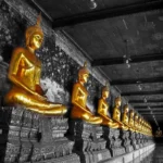 thailande alignement bouddhas
