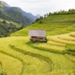 vietnam terrasse cabane